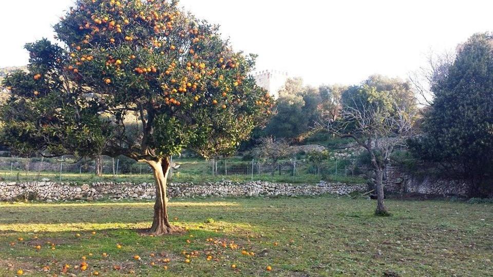 Vakantieboerderij Sa Duaia De Dalt